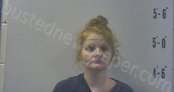 LONG, BILLIE | 2024-07-07 11:06:00 Pulaski County, Indiana Booking