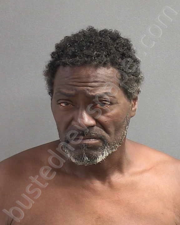 CAMEAU, GEORGES S #, Volusia County, Florida - 2024-07-07 01:31:00
