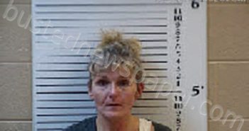 TAYLOR, CRYSTAL ELIZABETH | 2024-07-07 13:42:00 Cherokee County, North Carolina Booking
