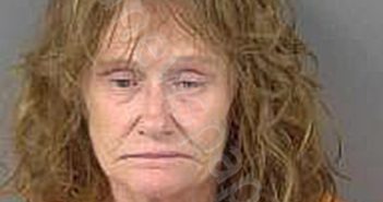 LOOKER,CONNIE KATRINA | 2024-07-07 Collier County, Florida Booking