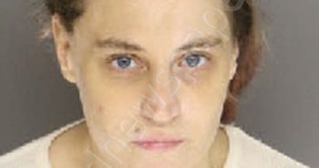 ABERNATHY, JESSICA MARIE | 2024-07-08 15:52:00 Moore County, North Carolina Booking