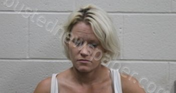 NATASHA JEAN WHITAKER | 2024-07-08 00:37:00 Andrew County, Missouri Booking