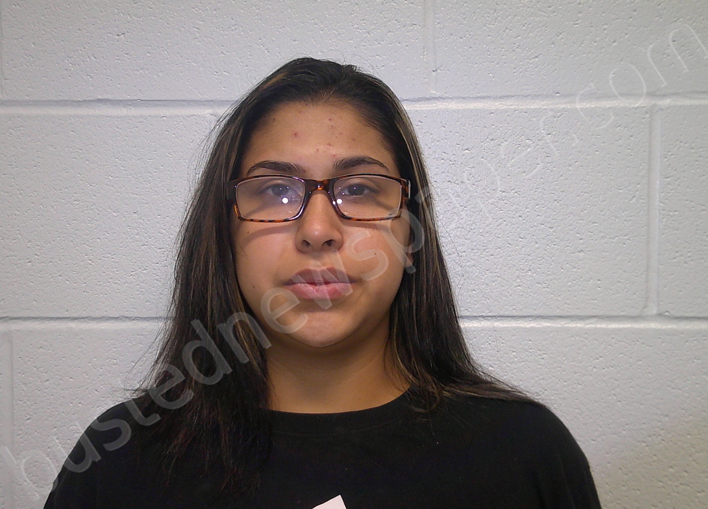 HERNANDEZ, SHAUDAE LORRAINE #, Burnet County, Texas - 2024-07-08