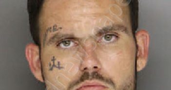 PERDUE, BRANDON TYLER | 2024-07-08 02:04:00 Moore County, North Carolina Booking