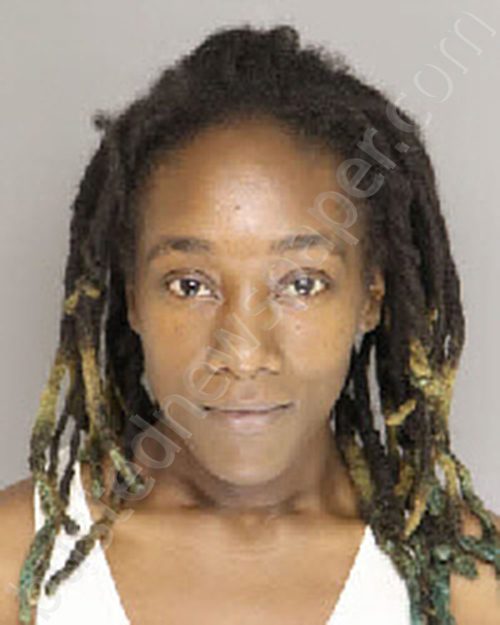 WATSON, TERRLICIA ETON #, Moore County, North Carolina - 2024-07-09 01:02:00