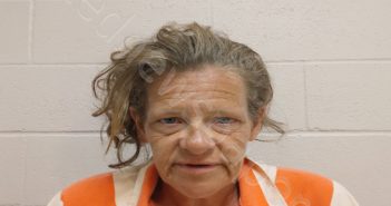 ANDERSON, MICHELLE NICOLE | 2024-07-09 11:43:00 Brown County, Texas Booking