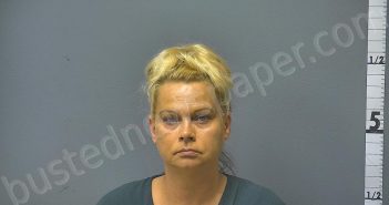 ATKINSON, DARLA LOCKLEAR | 2024-07-09 11:45:00 Middle River, Virginia Booking