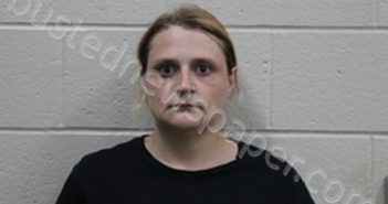 JESSICA MORGAN ALDRICH | 2024-07-10 09:31:00 Andrew County, Missouri Booking