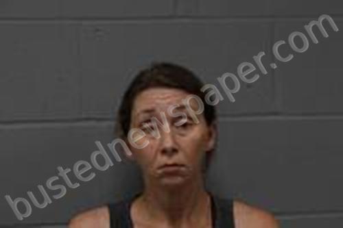 RACHEL LYNN MACHADO #, Johnson County, Missouri - 2024-07-10 23:15:00