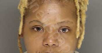 LEDBETTER, JOYCE ANN | 2024-07-11 12:00:00 Moore County, North Carolina Booking