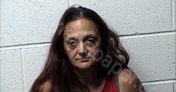 PERRY, TAMMY | 2024-07-11 Chase County, Kansas Booking