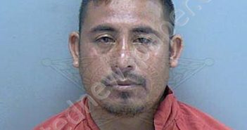<B>HERNANDEZ</B> <B>JOSE</B>, <B>ANGEL</B> #, Lee County, Florida - 2024-07-11 20:53:00