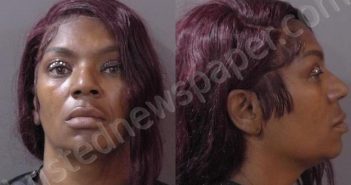 <B>JOHNSON</B>, <B>TINA</B> <B>W</B> #, Hamilton County, Indiana - 2024-07-12 15:17:00