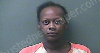 JOHNSON, NATALIE THERESA | 2024-07-12 23:12:00 Laporte County, Indiana, La Porte County, Indiana Booking