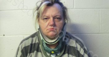 NEVA M LIVINGSTON | 2024-07-13 12:10:00 Orange County, Indiana Booking