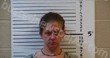 DOCKERY, SHEENA RENEE | 2024-07-13 03:00:00 Cherokee County, North Carolina Booking