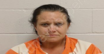 HARMON, JENNIFER RENEE | 2024-07-14 11:38:00 Brown County, Texas Booking