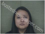 ALVAREZ, DELMY | 2024-07-15 Harnett County, North Carolina Booking