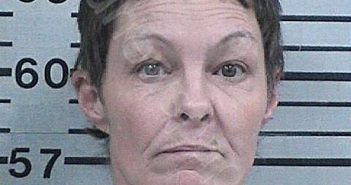 BURRIS, MICHELLE RENEE | 2024-07-15 12:57:50 Hood County, Texas Booking