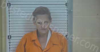 DAVIS, SHERRY | 2024-07-16 08:55:00 Taylor County, Kentucky Booking