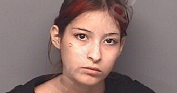 <B>RODRIGUEZ</B>, LORRAINA <B>ANGEL</B> #, Brazoria County, Texas - 2024-07-16