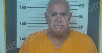 HORTON, LEONARD G | 2024-07-18 04:47:00 Ottawa County, Ohio Booking