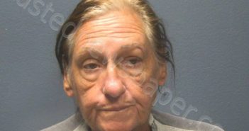 <B>THOMAS</B>, <B>PATRICIA</B> A #, Sevier County, Tennessee - 2024-07-18 16:13:00