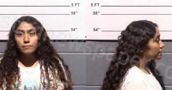 <B>OLVERA</B>, <B>YESENIA</B> #, Gillespie County, Texas - 2024-07-18