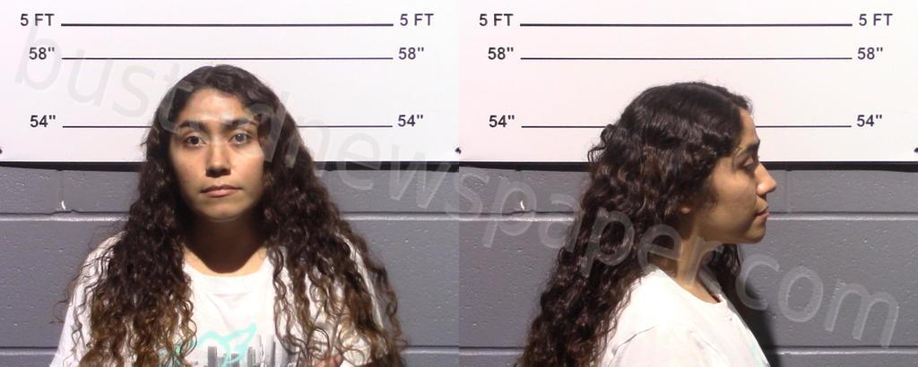 OLVERA, YESENIA #, Gillespie County, Texas - 2024-07-18