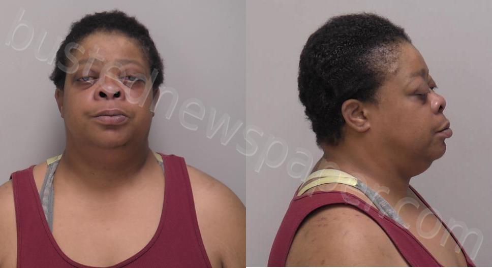 DOTSON, PRISCILLA #, Hancock County, Ohio - 2024-07-18 09:00:00