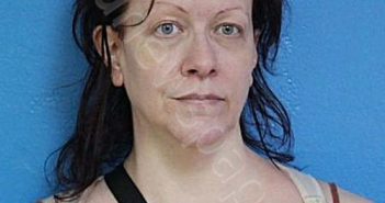 POE, SHANNON LYNN | 2024-07-18 20:59:00 Sullivan County, Tennessee Booking