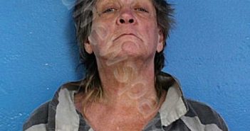 LEONARD-ANDERSON, TERESA ELIZABETH | 2024-07-18 02:57:34 Sullivan County, Tennessee Booking