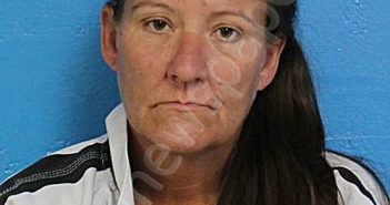 SMITH-GRAHAM, TINA | 2024-07-19 16:08:48 Sullivan County, Tennessee Booking