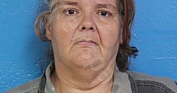 JOHNSON, SARAH ELIZABETH | 2024-07-19 19:29:05 Sullivan County, Tennessee Booking