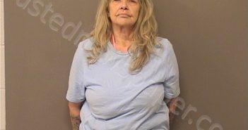 SMITH,DELORES DIANNE | 2024-07-19 18:33:00 Garland County, Arkansas Booking