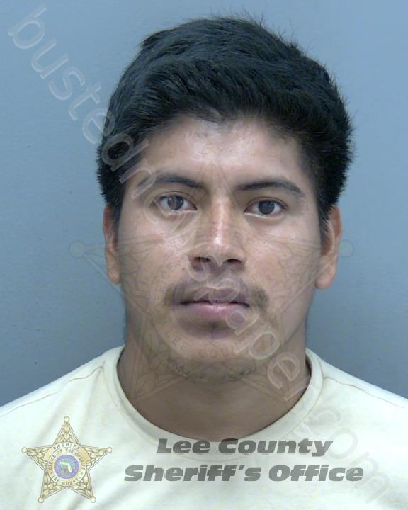 SALES DOMINGO, CLINTON OSVALDO #, Lee County, Florida - 2024-07-20 18:21:00