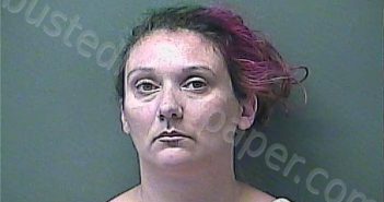JOHNSON, REBECCA J | 2024-07-20 07:04:00 Laporte County, Indiana, La Porte County, Indiana Booking