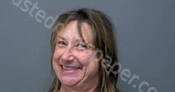 RHONDA RENEE KEIFER | 2024-07-20 00:17:00 Baxter County, Arkansas Booking