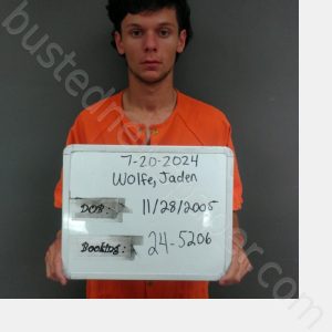 WOLFE, JADEN PATRICK | 2024-07-20 14:12:00 Sebastian County, Arkansas Booking