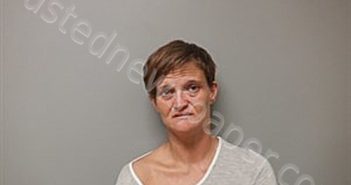 STEVENS, DELINA LEEANN | 2024-07-22 14:12:00 Craighead County, Arkansas Booking