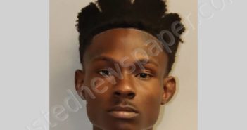 JOHNSON EZEKIEL | 2024-07-23 Leon County, Florida Booking
