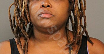 VALERIE L BURGESS | 2024-07-23 Chicago, Illinois, Cook County, Illinois Booking