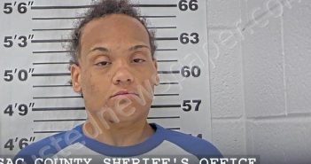<B>CALMESE</B>, <B>JADE</B> <B>S</B> #, Massac County, Illinois - 2024-07-23 13:05:12