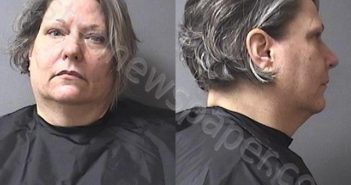 WASSIL, ANGELA RUTH | 2024-07-23 22:06:00 Madison County, Indiana Booking