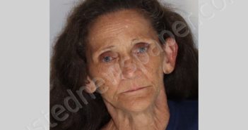 PETTIS CANDICE Y | 2024-07-23 Leon County, Florida Booking