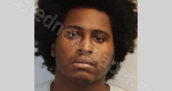ROBINSON JAMARCUS DEANGELO | 2024-07-23 Leon County, Florida Booking