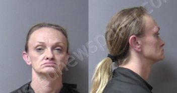 MAXWELL, TARA RENEE | 2024-07-23 10:43:00 Madison County, Indiana Booking