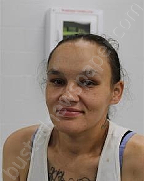 INGRAM, APRIL CANZADA #, Fayette County, Pennsylvania - 2024-07-24 00:22:00