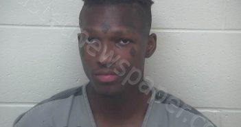 WILLIAMS, DEMONDTAE | 2024-07-24 13:05:00 Scioto County, Ohio Booking