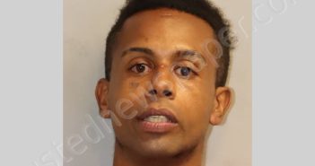 GEOHEGAN JAHLANI STEVON | 2024-07-24 Leon County, Florida Booking